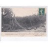 SAINT-GEORGES-de-ROUELLEY: sapin de la guitonnière après l'orage du 28 août 1907 - très bon état