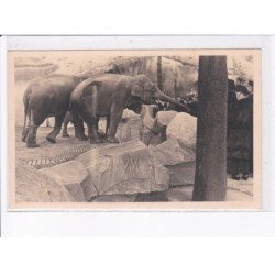 VINCENNES: 200, éléphants - très bon état