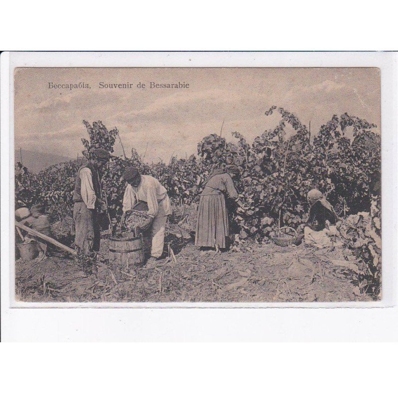 MOLDAVIE: souvenir de bessarabie, vendanges - très bon état