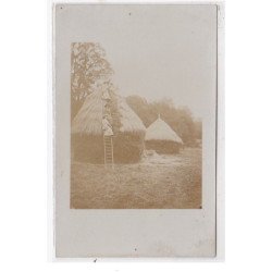 JONCHERY-sur-VESLE : échelle sur une hutte de foin avec 3 femmes - très bon état