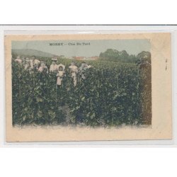 MOREY - Clos du Tard (vignes - vendanges) - très bon état