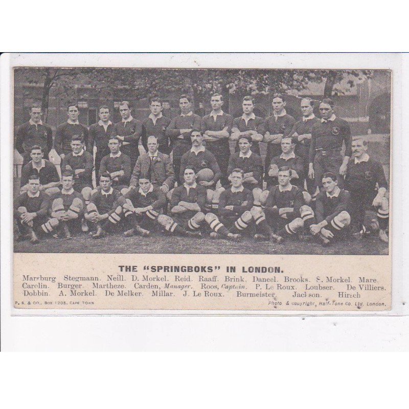 RUGBY: the "springboks" in london - état