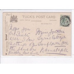 RUGBY: south african rugby football team - très bon état