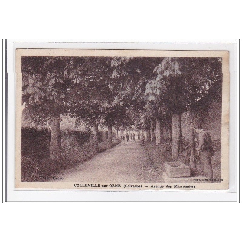 COLLEVILLE-sur-ORNE : avenue des marroniers - tres bon etat