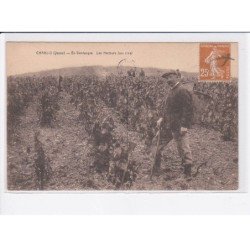 CHABLIS: en vendanges, les hotteurs (aux clos) - très bon état