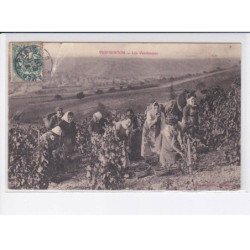 VERMENTON: les vendanges - état