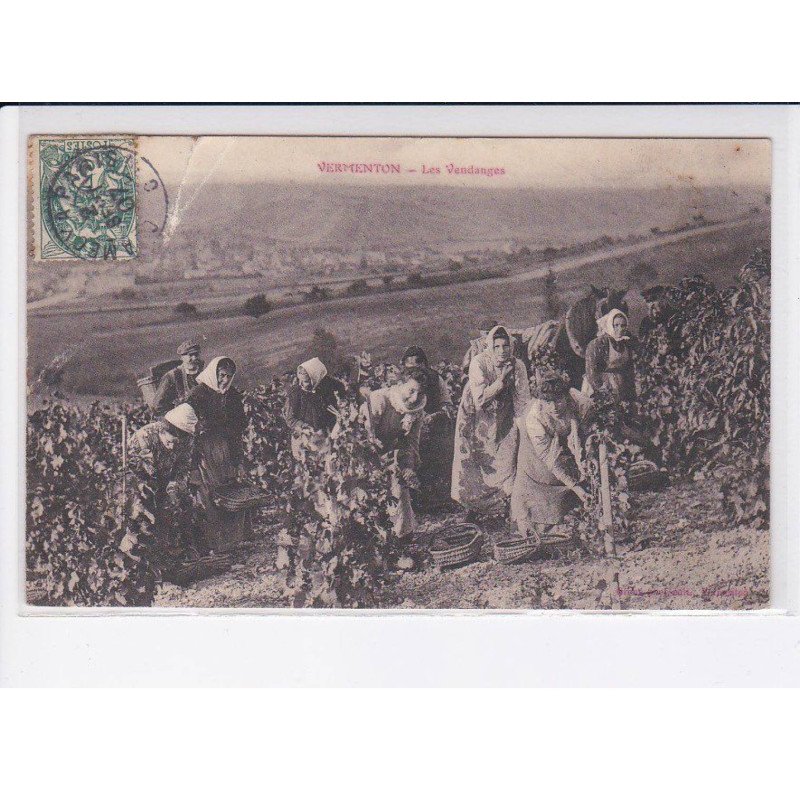 VERMENTON: les vendanges - état