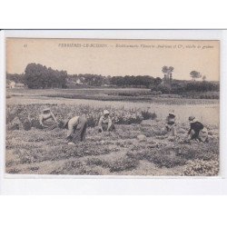 VERRIERES-le-BUISSON: établissement vilmorin-andrieux et Cie, récolte de graines - très bon état