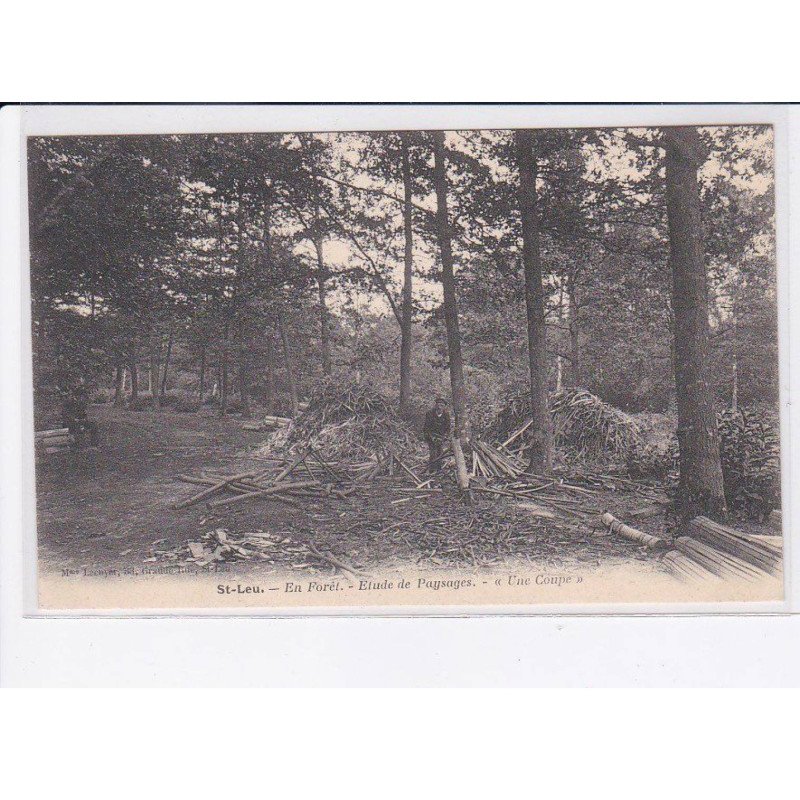 SAINT-LEU: en forêt, étude de paysages, "une coupe" - très bon état