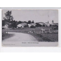 HARSAULT: route de hautmougey - état