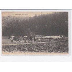 environs SAINT-MAURICE: transport de bois dans la montagne - très bon état