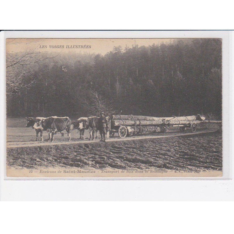 environs SAINT-MAURICE: transport de bois dans la montagne - très bon état