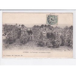 AUXERRE: les vendanges, la cueillette du raisin - très bon état