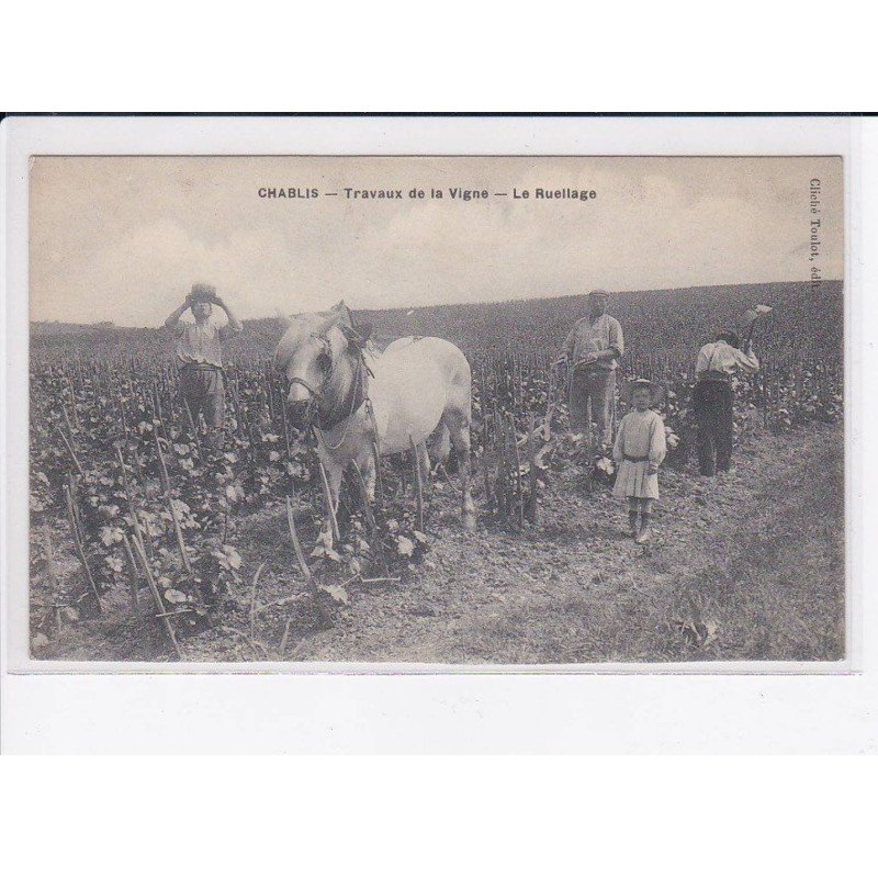 CHABLIS: travaux de la vigne, le ruellage - état