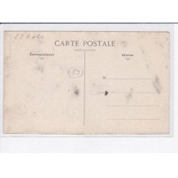 CHABLIS: travaux de la vigne, le ruellage - état