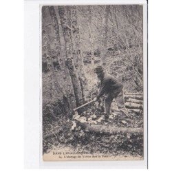 AVALLON: l'abattage des vernes dans la forêt - état