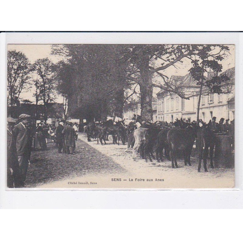SENS: la foire aux ânes - très bon état