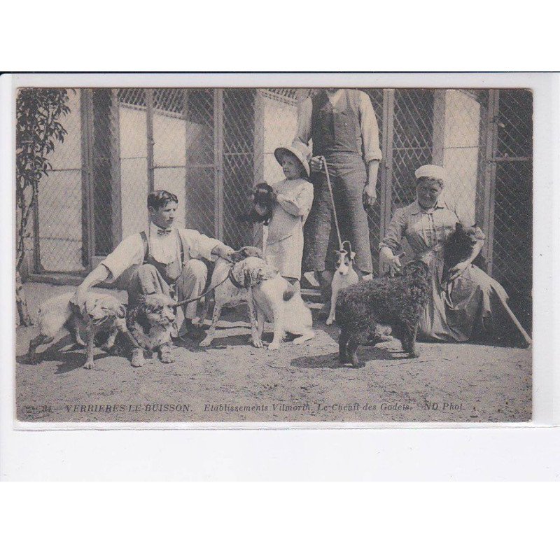 VERRIERE-le-BUISSON: établissements vilmorth, le chenil des godets - très bon état