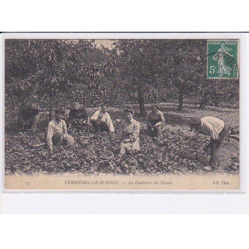 VERRIERES-le-BUISSON: la cueillette des fraises - très bon état