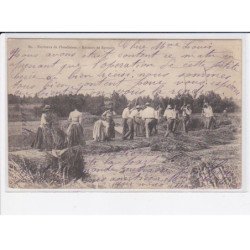 environs de PLOMBIERES: batteurs de sarrasin - très bon état