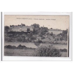 CHEZAL-BENOIT : colonie agricole, ancien college - tres bon etat