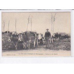 SENS: la vie aux champs de bourgogne, labour à six boeufs - très bon état