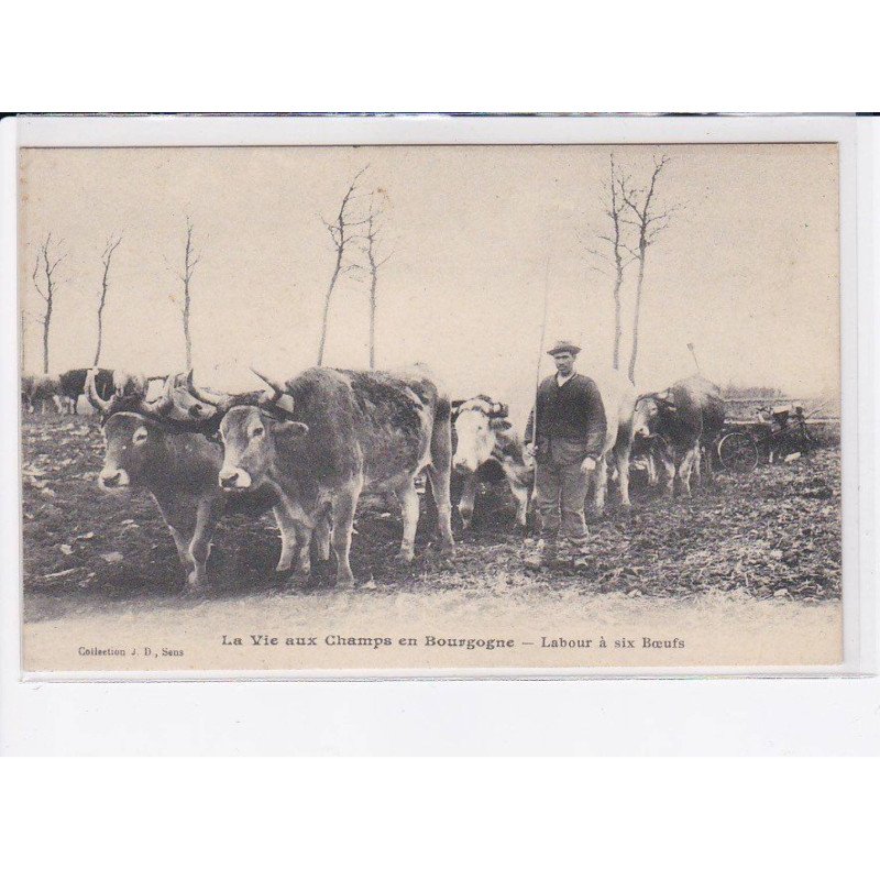 SENS: la vie aux champs de bourgogne, labour à six boeufs - très bon état