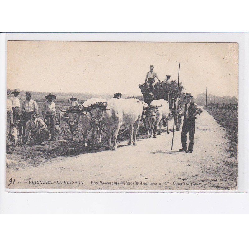 VERRIERES-le-BUISSON: établissement vilmorin-andrieux et Cie dans les champs - très bon état