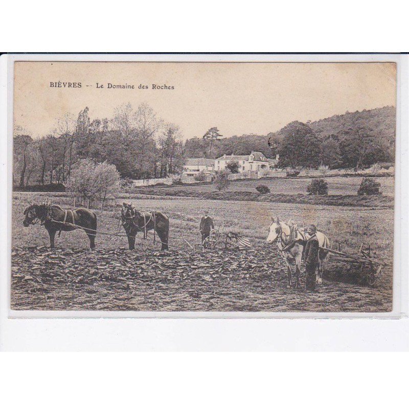 BIEVRES: le domaine des roches - état
