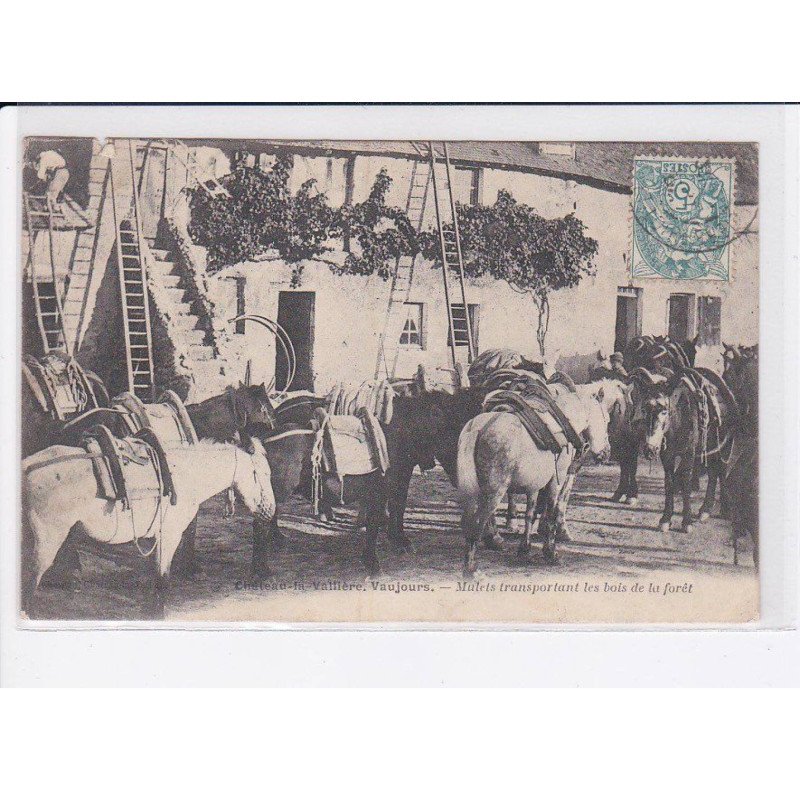 CHATEAU-de-la-VALLIERE VAUJOURS: mulets transportant les bois de la forêt - très bon état