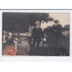 ROBINSON: personnages et attelage, âne - état