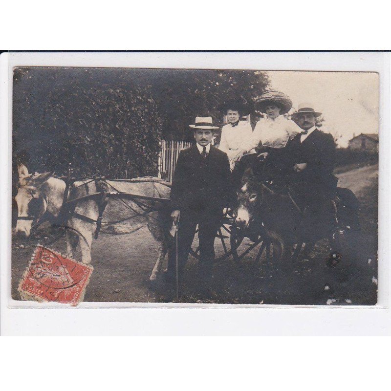 ROBINSON: personnages et attelage, âne - état