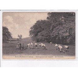 RUGBY: équipe, suisse, école nouvelle du lémas, châtaignerie sur coppet, le football - état