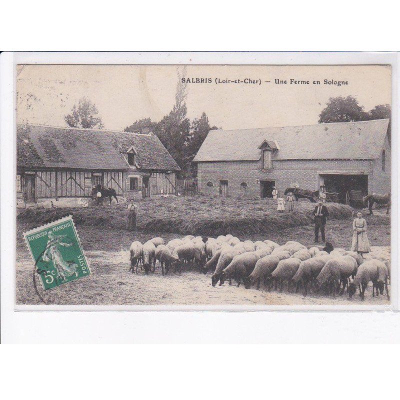 SALBRIS: une ferme en sologne, moutons - très bon état