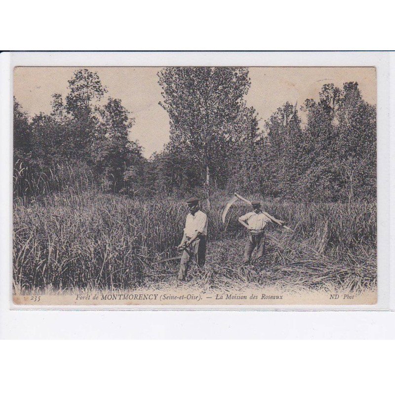 MONTMORENCY: la moisson des roseaux - très bon état