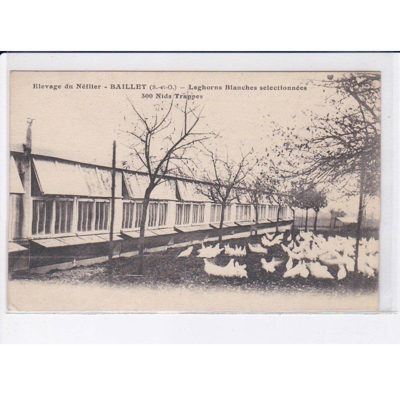 BAILLET: élevage du néilier, leghorns blanches selectionnées 300 nids trappes - très bon état