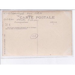 VILLEFRANCE-sur-MER: combat naval fleuri 1906 - très bon état