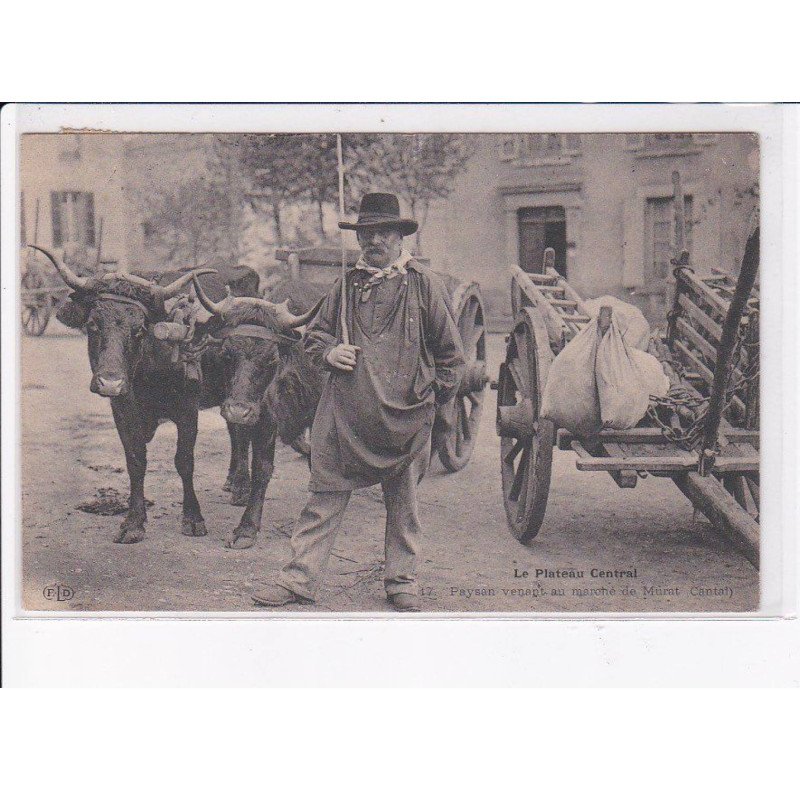 MURAT: le plateau central, paysan venant au marché de murat, boeufs - très bon état