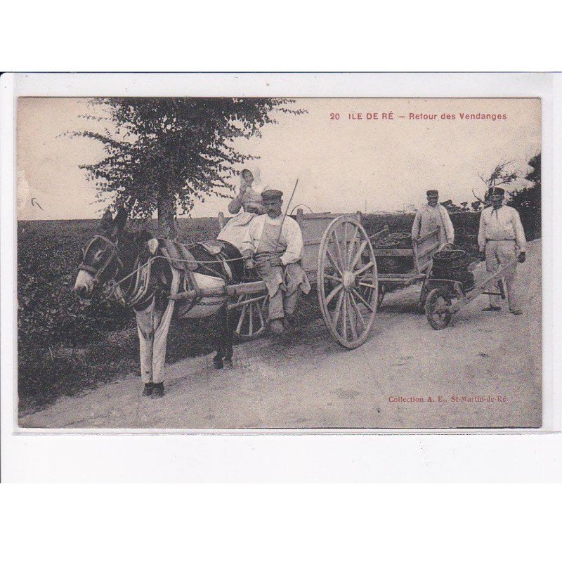 ILE DE RE: retour des vendanges, attelage - état