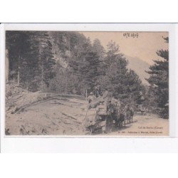 CORTE: col de sorba, attelage, bois - état