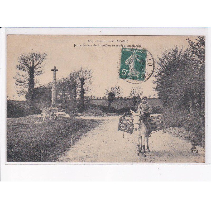 environs PARAME: jeune laitière de limoëlou se rendant au marché - état