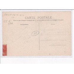 MONTPELLIER: maison d'alimentation modèle vue de son exposition de volailles à la noel - état