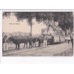 TOURS: char des halles, boeufs - très bon état