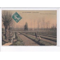 ULLY-SAINT-GEORGES: cressonnière - très bon état