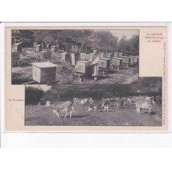 ORNE: grande trappe, les abeilles, le troupeau - très bon état