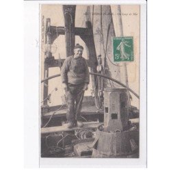 BERCK-PLAGE: un loup de mer - état