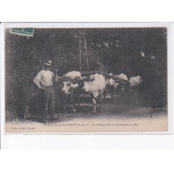 LA CLAYETTE: un attelage dans les montagnes de dun - très bon état