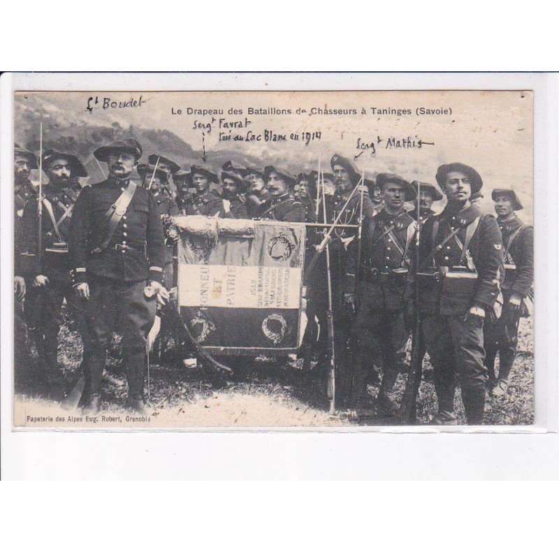 TANINGES: le drapeau des bataillons de chasseurs - état