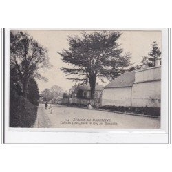 EVREUX-la-MADELAINE : cedre du lban, planté en 1794 par beaucantin - tres bon etat