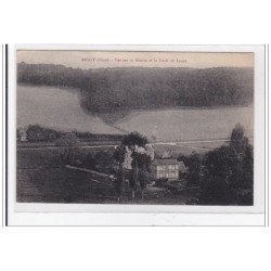 ROSAY : vue sur le moulon et la foret de lyons - tres bon etat